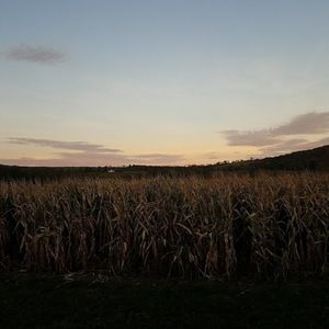 Meet your Posher, Teagan